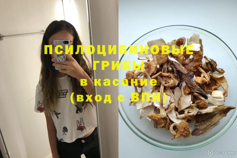 площадка телеграм  Кирс  Галлюциногенные грибы Psilocybine cubensis 